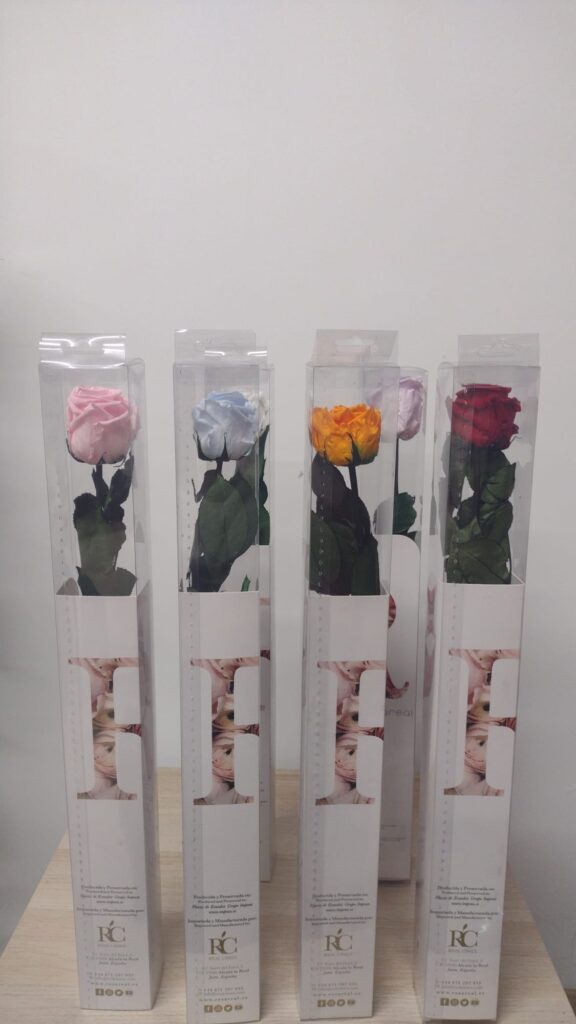 Rosas eternas en caja en diferentes colores